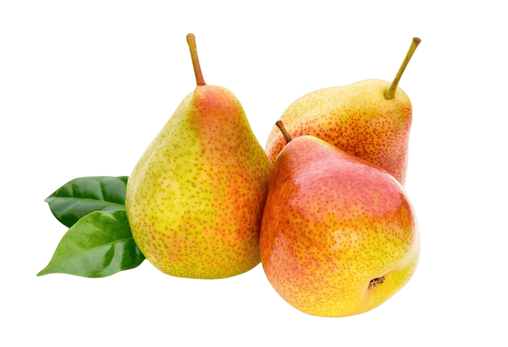 Frische Birnen von den Moriss Obstplantagen
