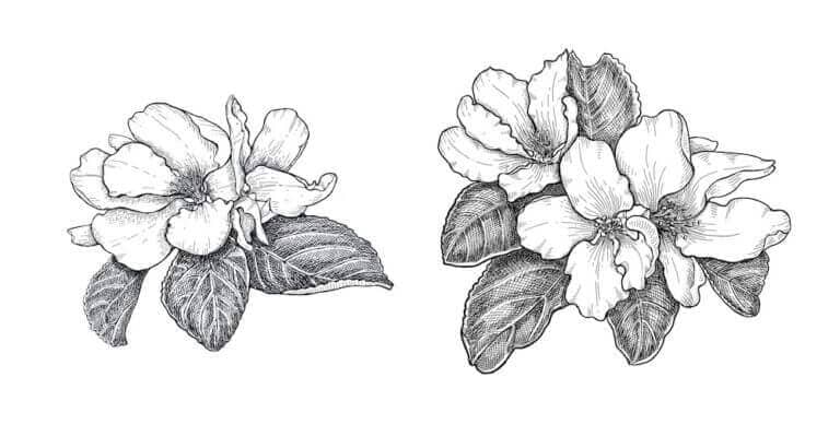 Blumenkränze binden: Kreativer Nachmittag mit Sommerblüten
